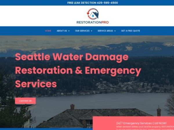 restorationprosnw.com