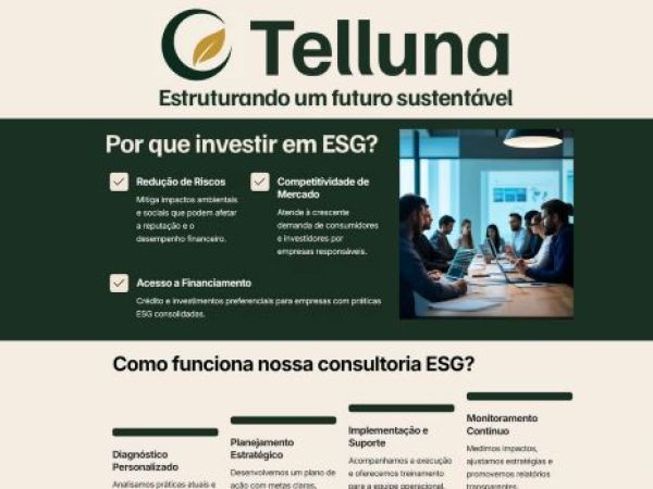 telluna.com.br